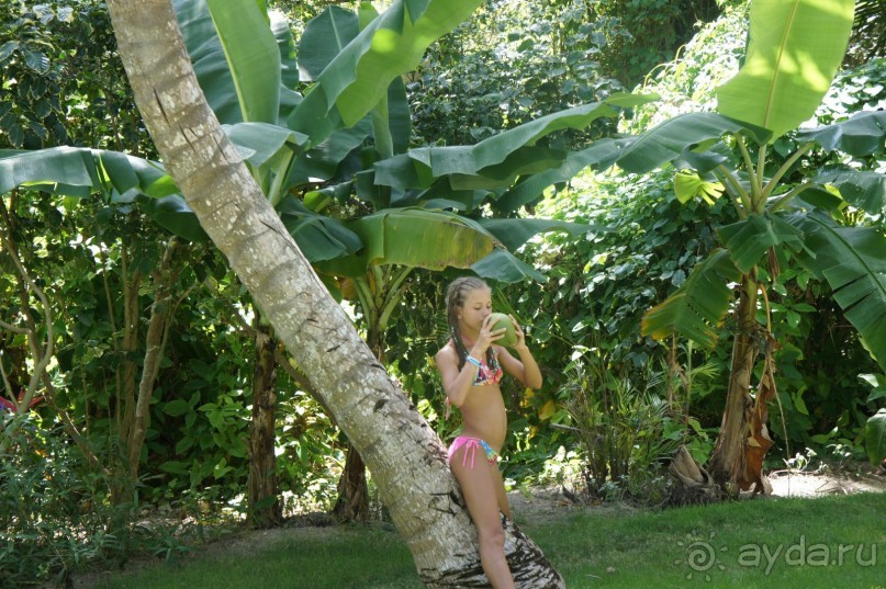 Джунгли на территории отеля 