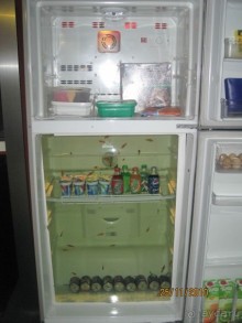 Океанариум. 