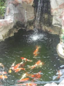 Господа, загадывайте свои желания!!! 