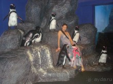 Океанариум. 