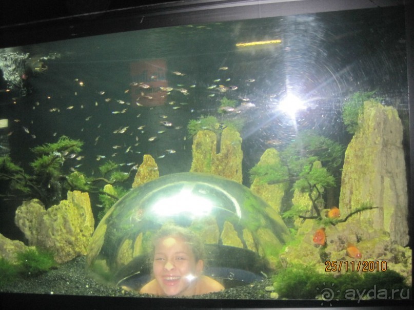 Океанариум. 