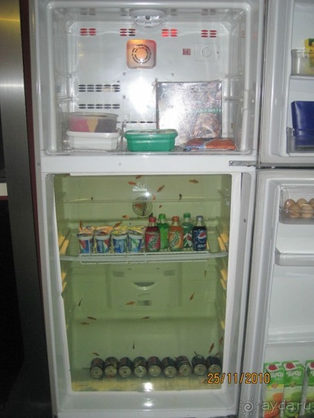 Океанариум. 