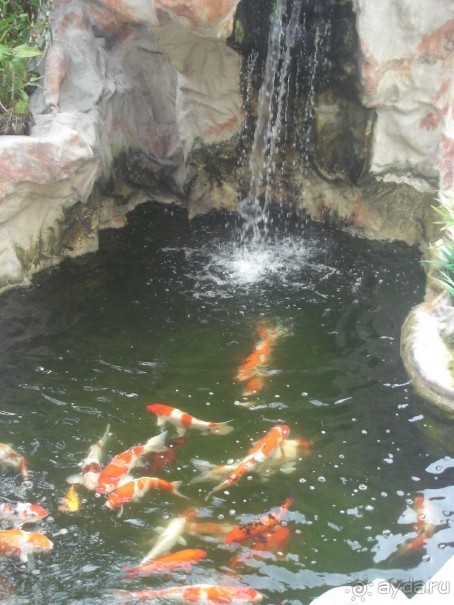 Господа, загадывайте свои желания!!! 