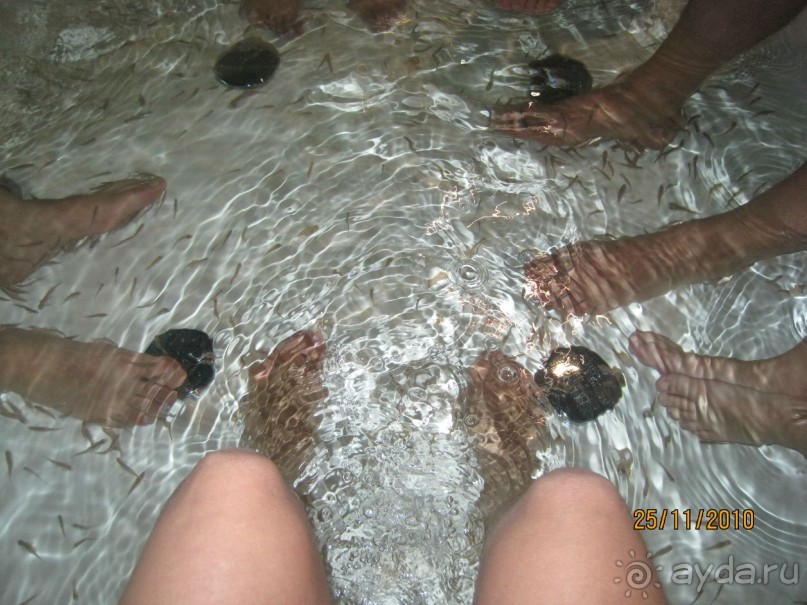 Океанариум. 