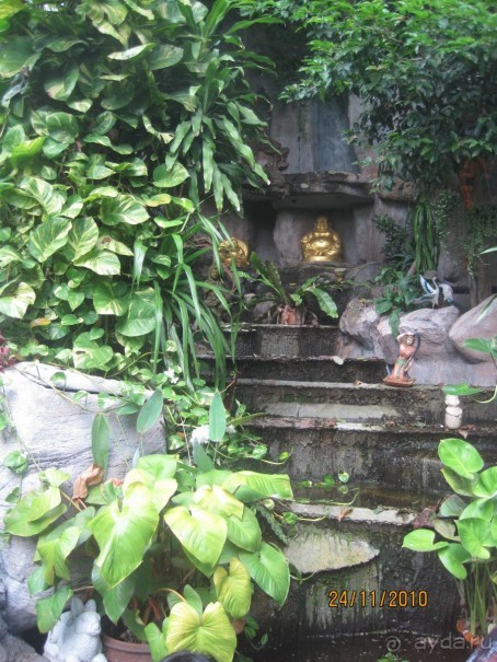 Обзорная по Бангкоку. 