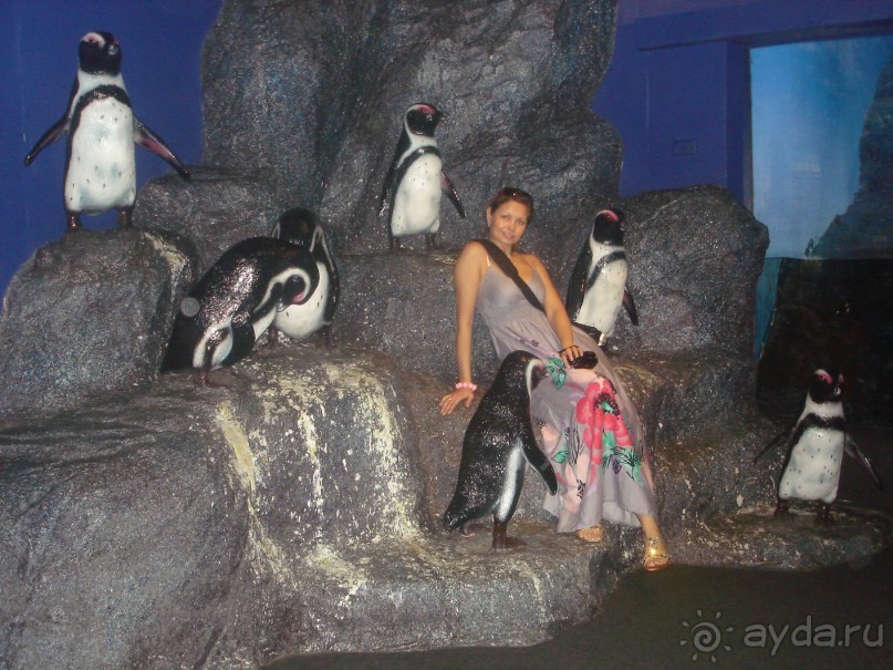 Океанариум. 