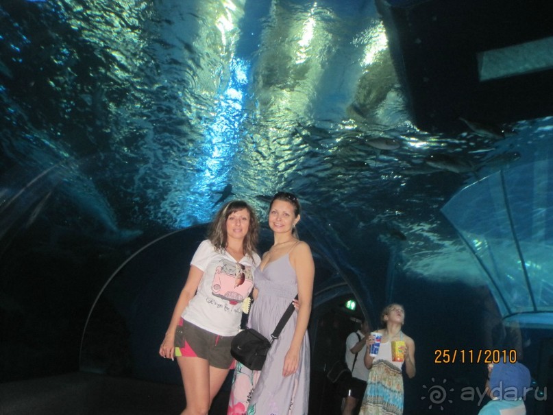 Океанариум. 