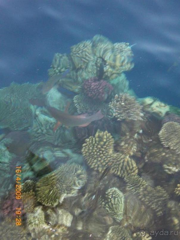 Отличная бюджетная пятёрка!