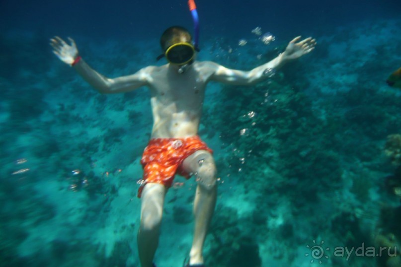 AA Grand Oasis Resort 4* постельное белье не меняют, бассейн ледяной