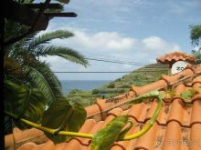 Август на Мадейре всей семьей дикарями