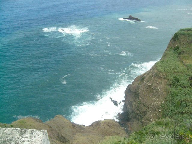 Август на Мадейре всей семьей дикарями