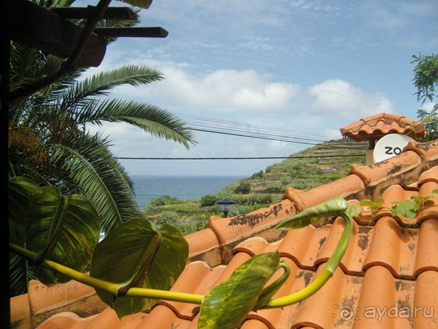 Август на Мадейре всей семьей дикарями