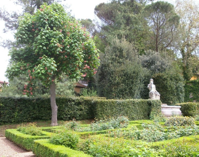 Опыт самостоятельного путешествия Флоренция-Гамбург-Амстердам. Пизанская Башня.