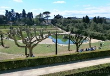 Опыт самостоятельного путешествия Флоренция-Гамбург-Амстердам. Пизанская Башня.