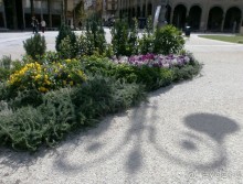 Опыт самостоятельного путешествия Флоренция-Гамбург-Амстердам. Пизанская Башня.