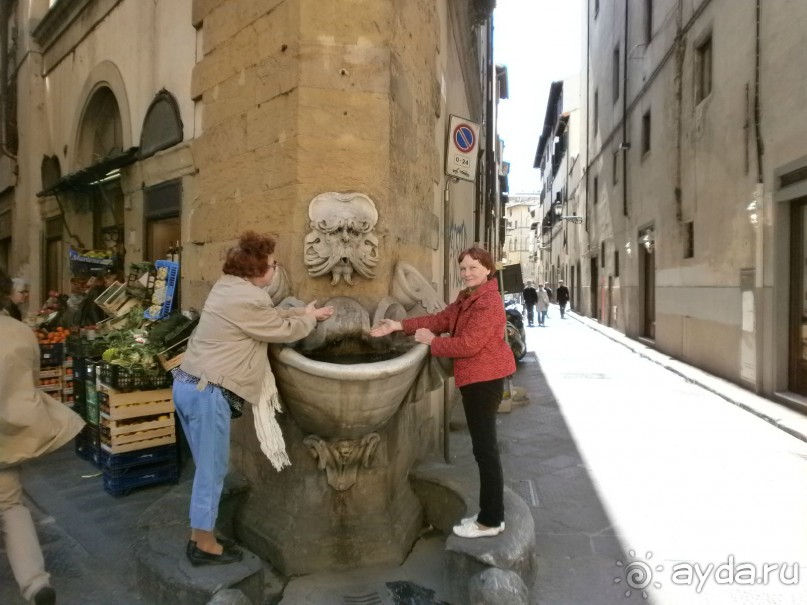 Опыт самостоятельного путешествия Флоренция-Гамбург-Амстердам. Пизанская Башня.