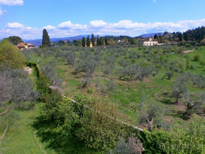 Опыт самостоятельного путешествия Флоренция-Гамбург-Амстердам. Пизанская Башня.