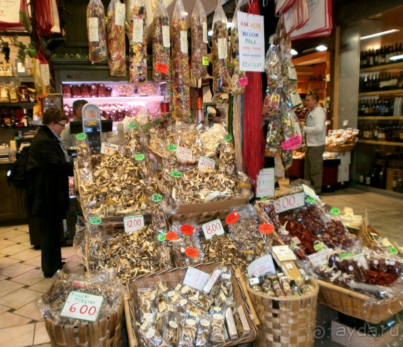 Опыт самостоятельного путешествия Флоренция-Гамбург-Амстердам. Пизанская Башня.