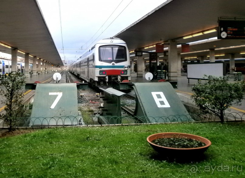 Опыт самостоятельного путешествия Флоренция-Гамбург-Амстердам. Пизанская Башня.