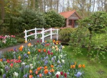 Опыт самостоятельного путешествия.Голландия.Нидерланды. Амстердам. Кёйкенхоф--парк Тюльпанов.