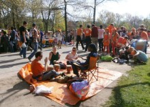 Опыт самостоятельного путешествия.Голландия.Нидерланды. Амстердам. Кёйкенхоф--парк Тюльпанов.