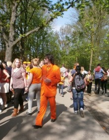 Опыт самостоятельного путешествия.Голландия.Нидерланды. Амстердам. Кёйкенхоф--парк Тюльпанов.