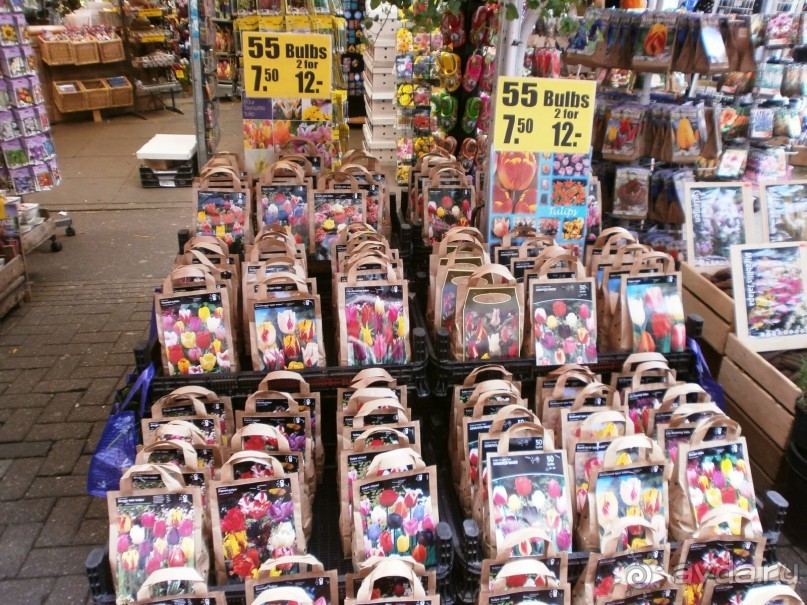Опыт самостоятельного путешествия.Голландия.Нидерланды. Амстердам. Кёйкенхоф--парк Тюльпанов.