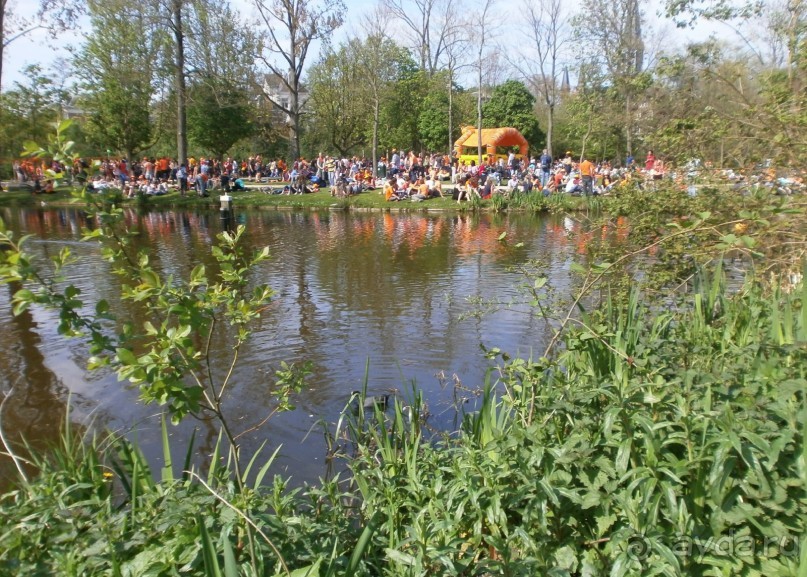 Опыт самостоятельного путешествия.Голландия.Нидерланды. Амстердам. Кёйкенхоф--парк Тюльпанов.