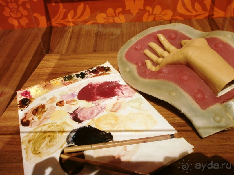 Опыт самостоятельного путешествия.Голландия.Нидерланды. Амстердам. Кёйкенхоф--парк Тюльпанов.