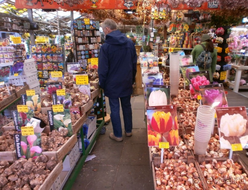 Опыт самостоятельного путешествия.Голландия.Нидерланды. Амстердам. Кёйкенхоф--парк Тюльпанов.