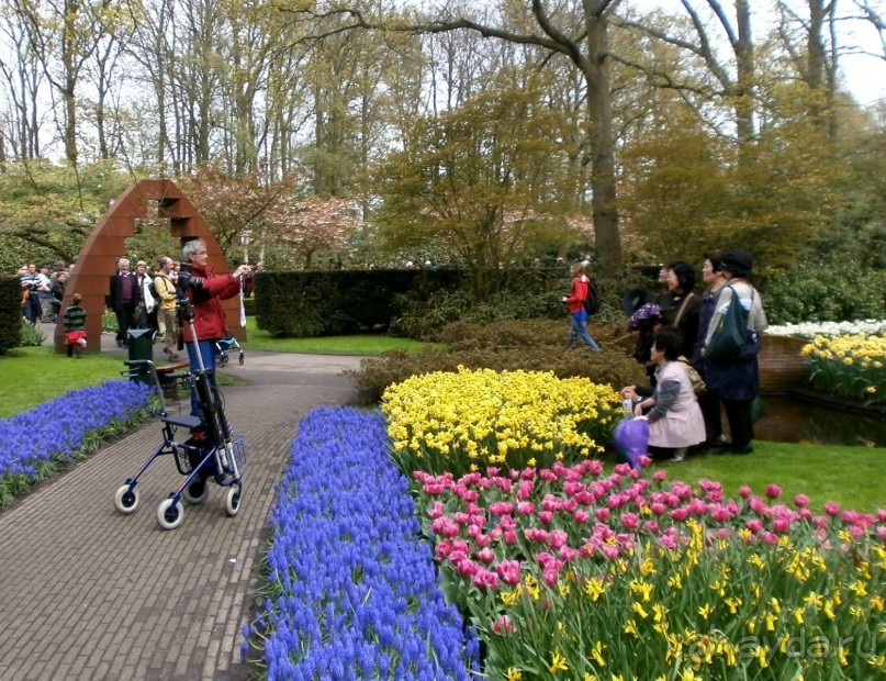 Опыт самостоятельного путешествия.Голландия.Нидерланды. Амстердам. Кёйкенхоф--парк Тюльпанов.