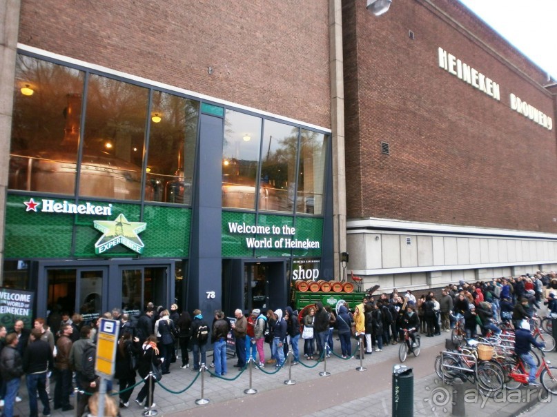 Опыт самостоятельного путешествия.Голландия.Нидерланды. Амстердам. Кёйкенхоф--парк Тюльпанов.