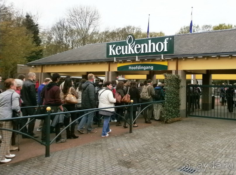 Опыт самостоятельного путешествия.Голландия.Нидерланды. Амстердам. Кёйкенхоф--парк Тюльпанов.