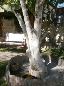 фото Travellers Cave Hotel