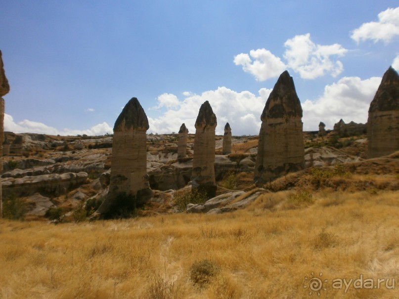 Фантастика!!