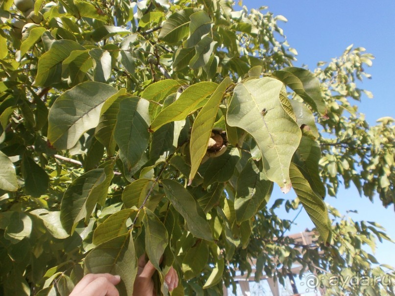 Фантастика!!