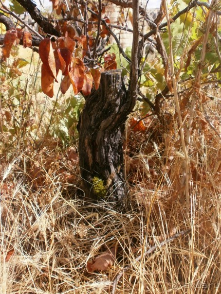 Фантастика!!