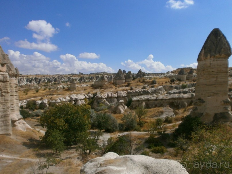 Фантастика!!