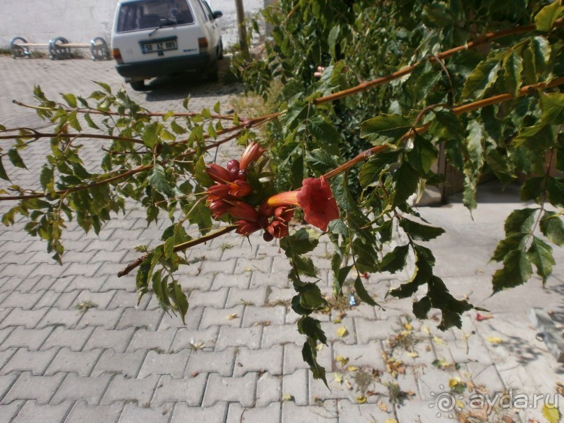 Фантастика!!