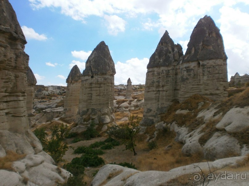 Фантастика!!