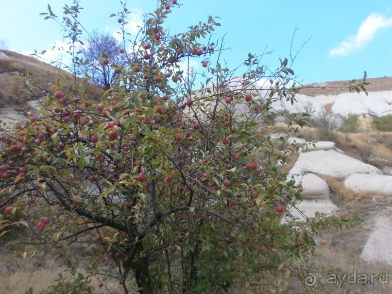 Фантастика!!