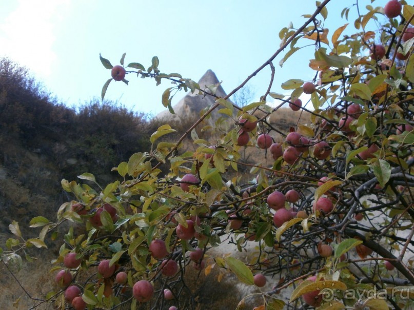 Фантастика!!