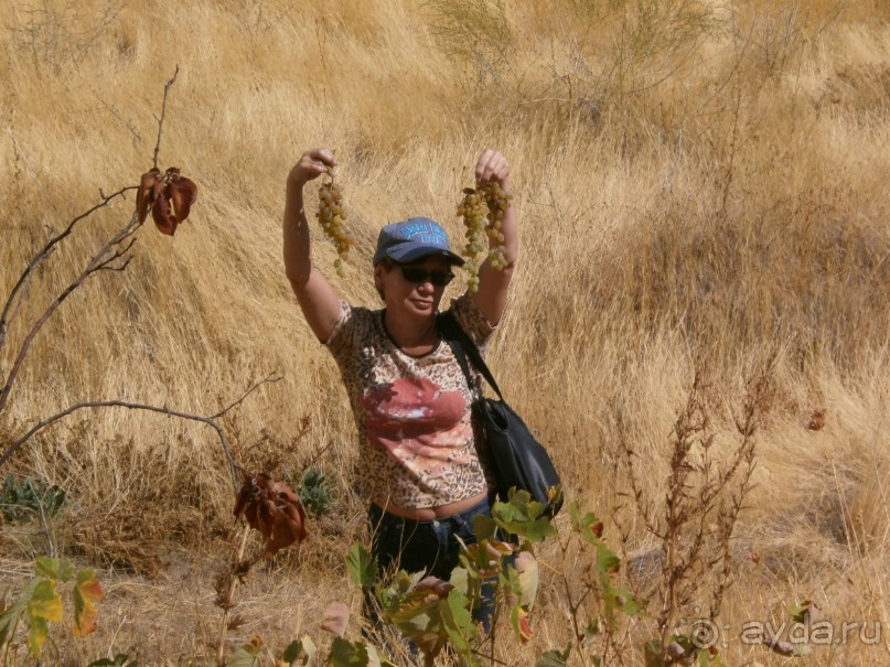 Фантастика!!