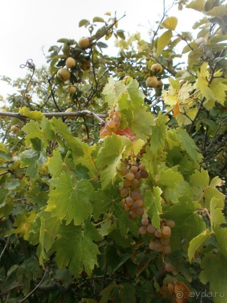 Фантастика!!