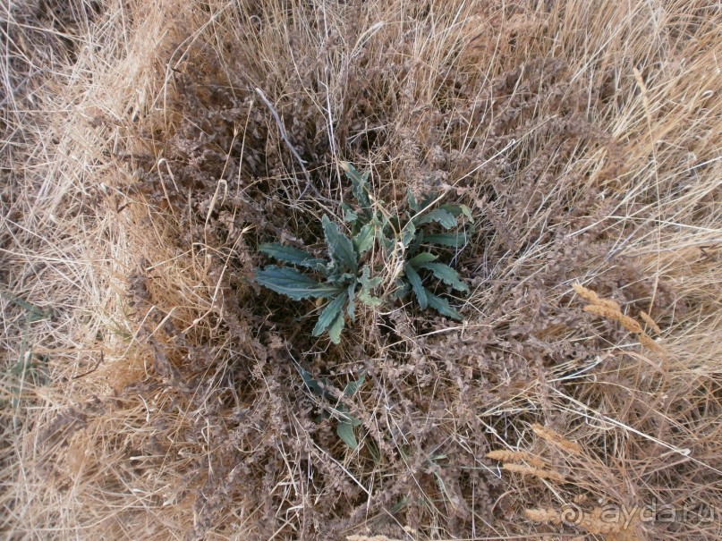 Фантастика!!