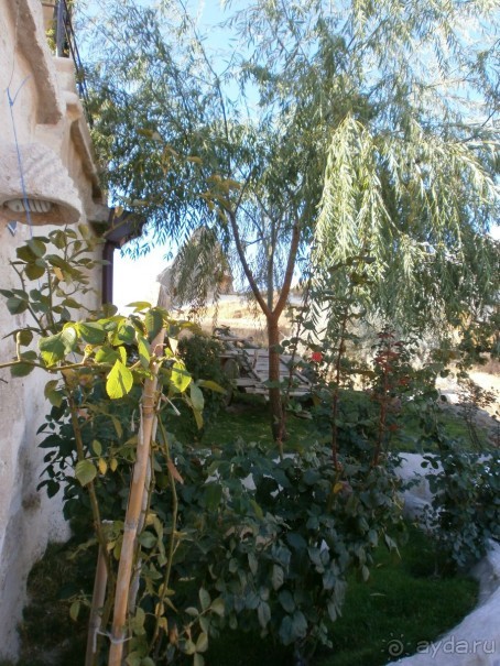 Фантастика!!