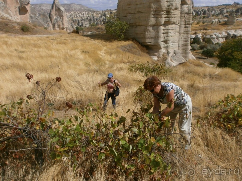 Фантастика!!