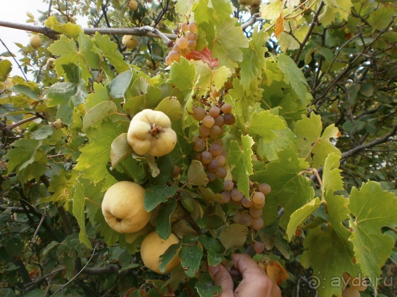 Фантастика!!