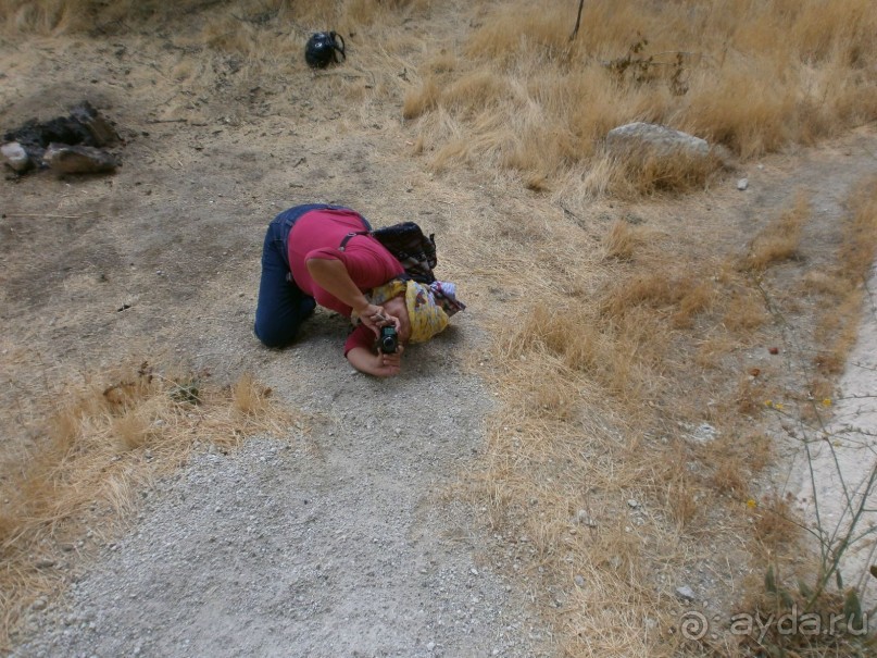 Фантастика!!