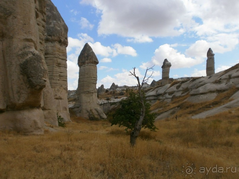 Фантастика!!